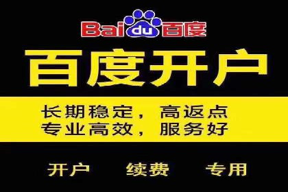 百度竞价公司之行业领先企业的投放策略